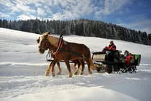 Winter Bild 7